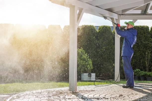 Best Roof Washing  in Sho Creek, AL